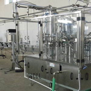 Automatic Bottle Rinsing Filling & Capping Machine